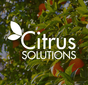 Citrus Solutions