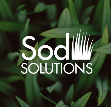 Sod Solutions